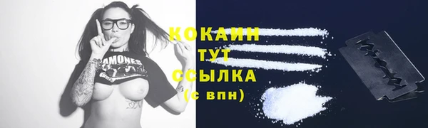 ПСИЛОЦИБИНОВЫЕ ГРИБЫ Алзамай