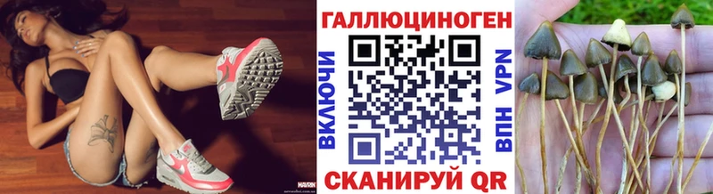 где купить наркотик  Сольвычегодск  Псилоцибиновые грибы Magic Shrooms 