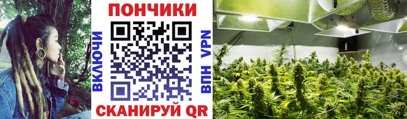 Бошки Шишки планчик  Сольвычегодск 